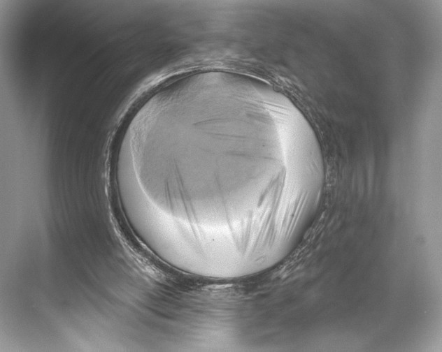 X0000067840054200605041700