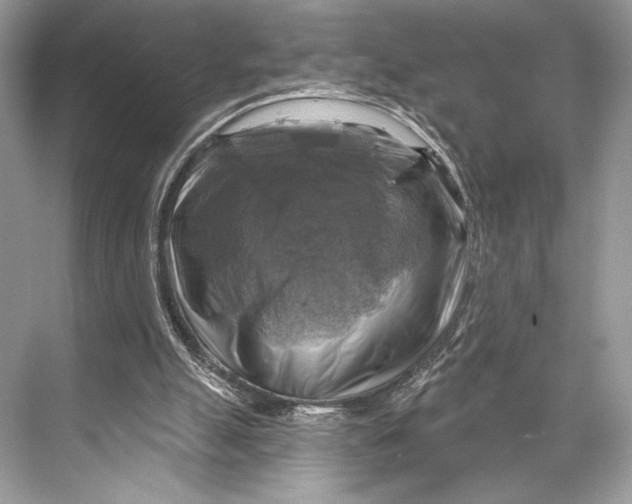 X0000067840055200605041700