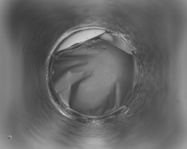 X0000067840056200605041700