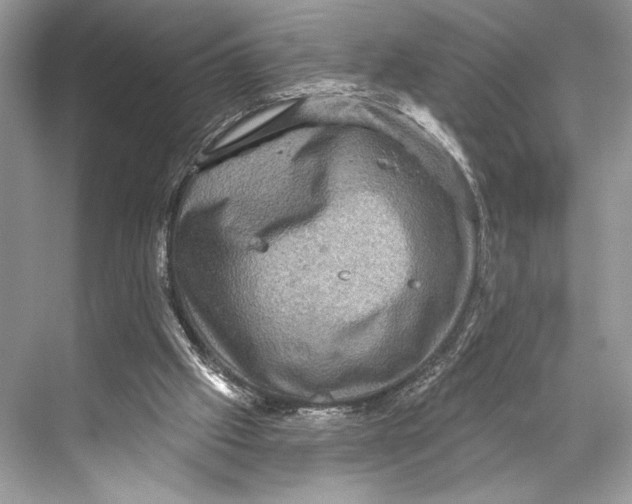 X0000067840057200605041700