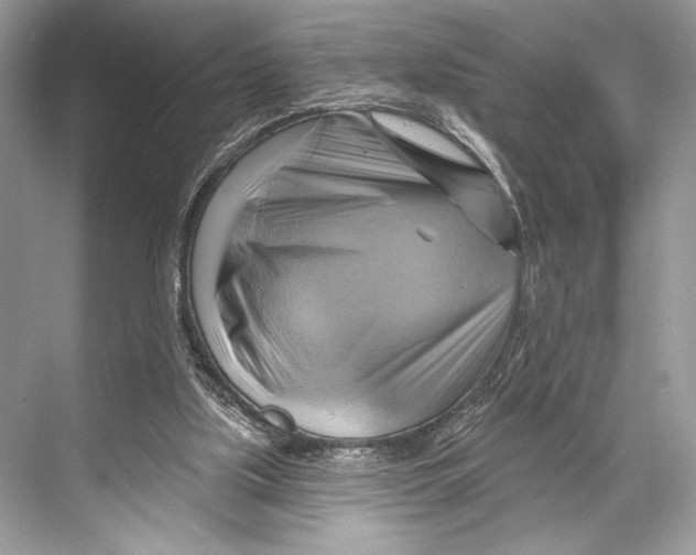 X0000067840059200605041700