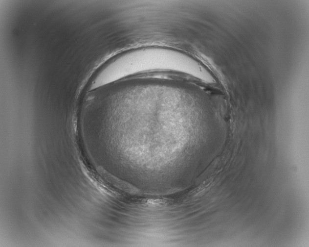 X0000067840060200605041700