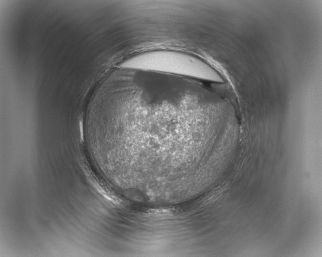 X0000067840061200605041700