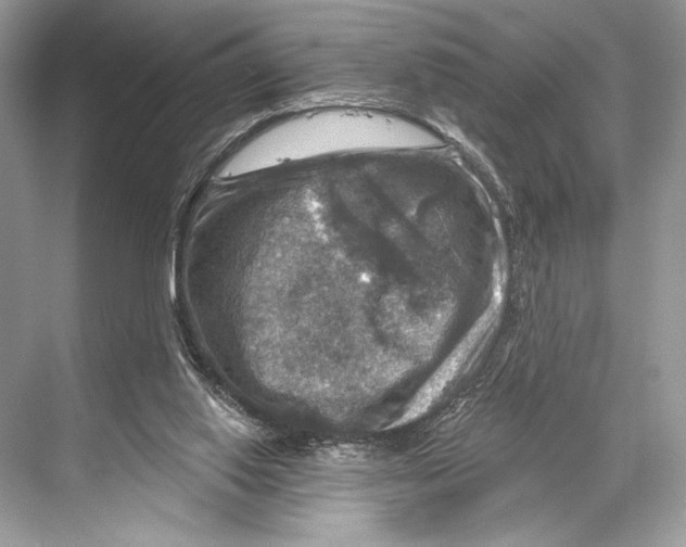 X0000067840062200605041700