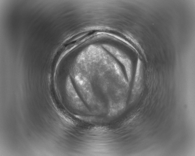 X0000067840063200605041700