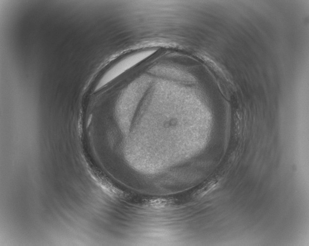 X0000067840064200605041700