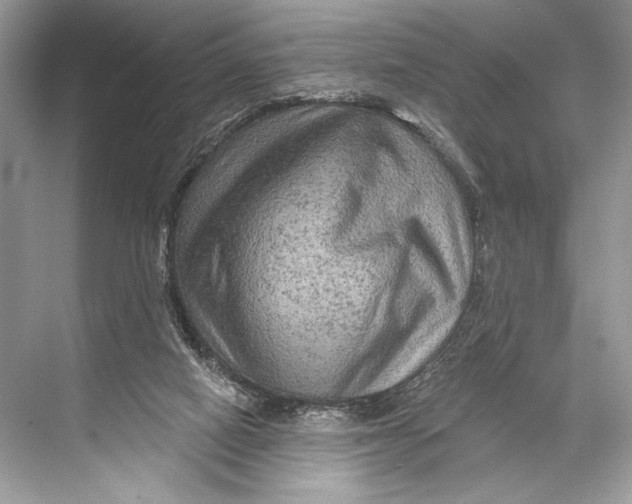 X0000067840066200605041700