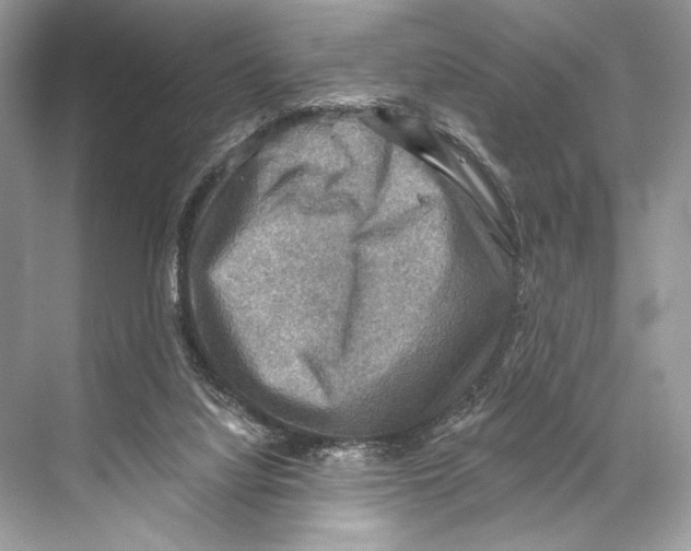 X0000067840068200605041700