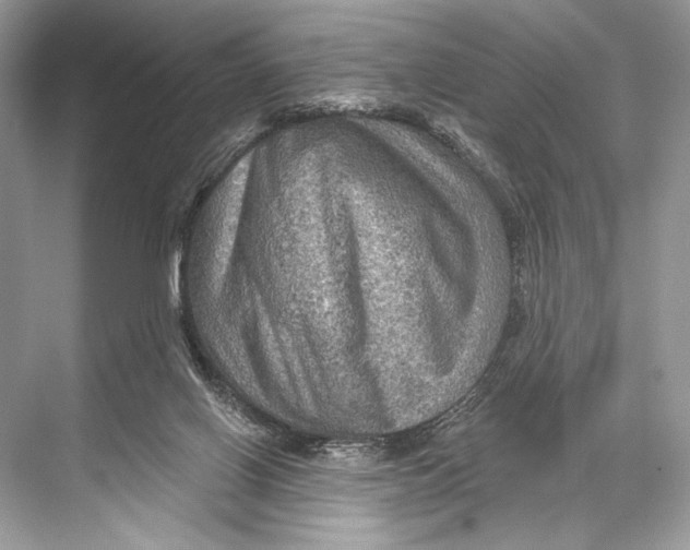 X0000067840070200605041700