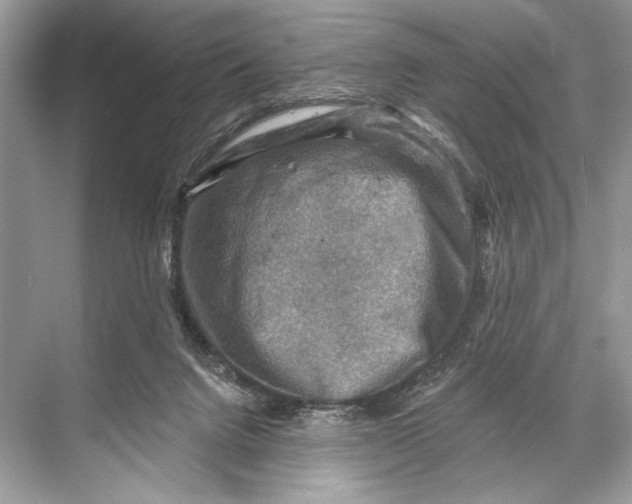 X0000067840072200605041700