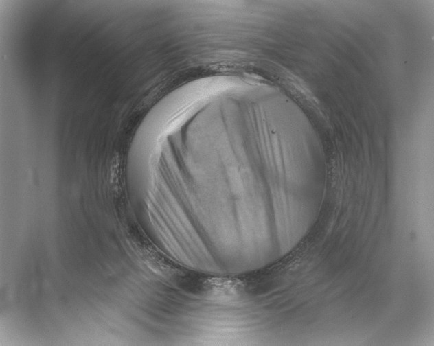 X0000067840073200605041700