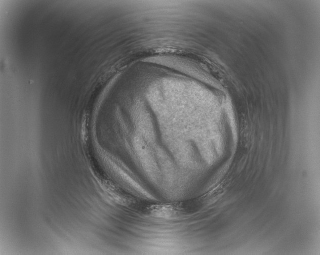 X0000067840074200605041700