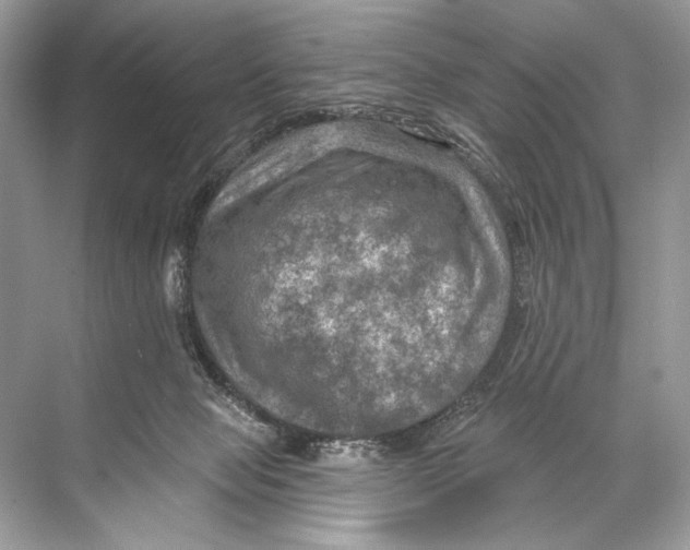 X0000067840077200605041700