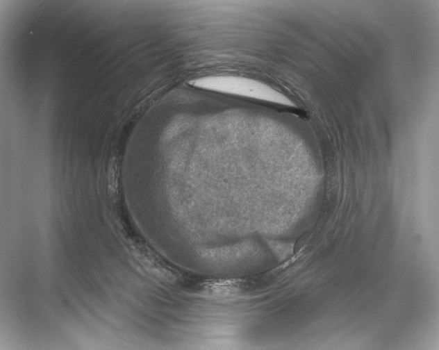 X0000067840078200605041700