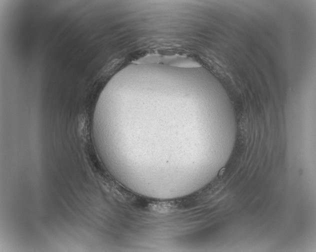 X0000067840079200605041700