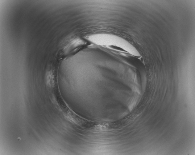 X0000067840080200605041700