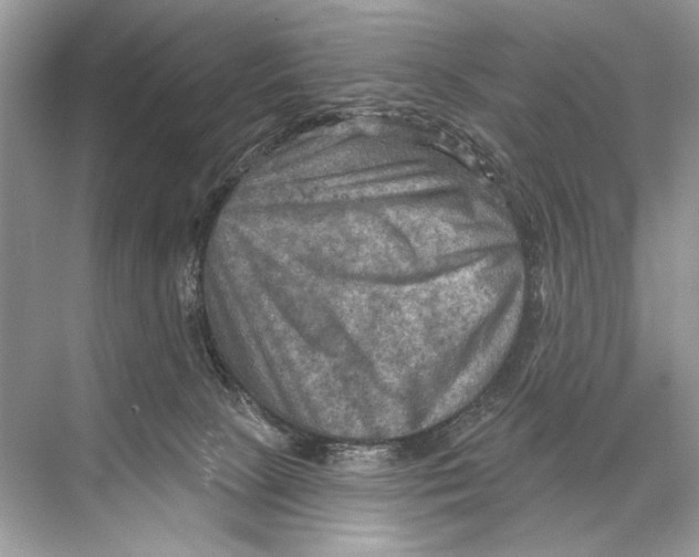 X0000067840081200605041700