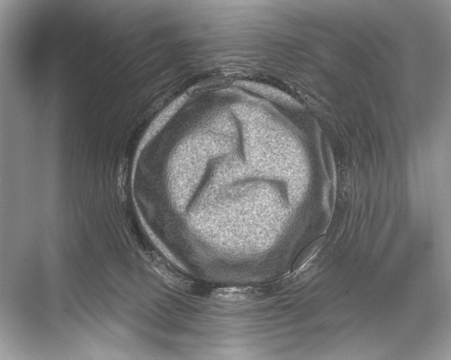 X0000067840082200605041700