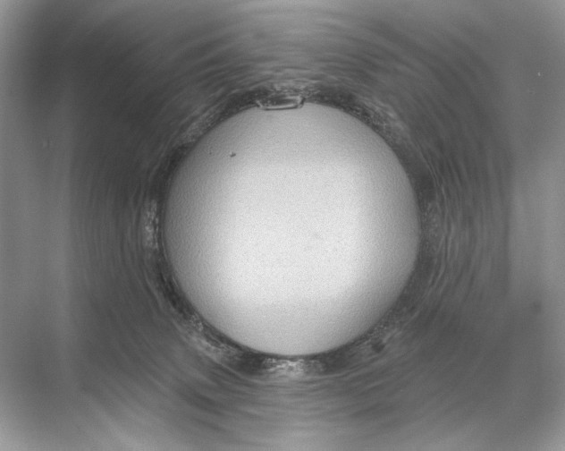 X0000067840083200605041700