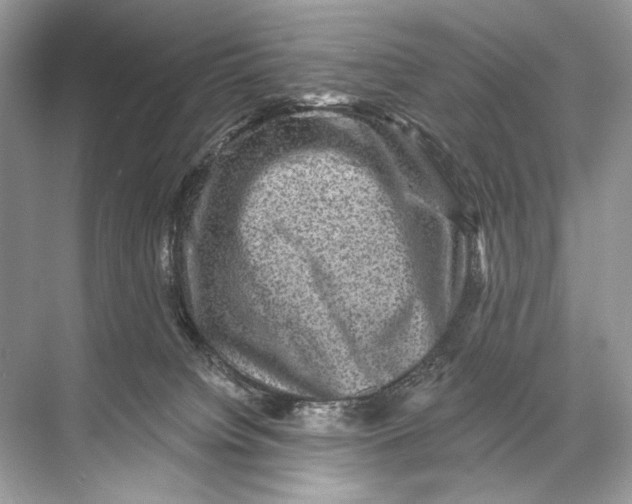 X0000067840084200605041700