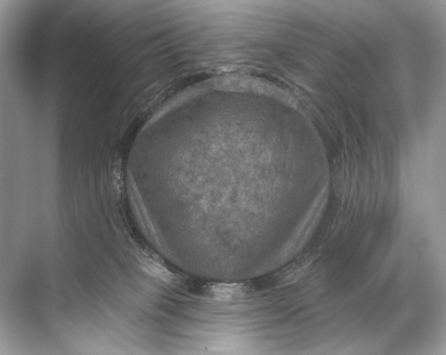 X0000067840085200605041700