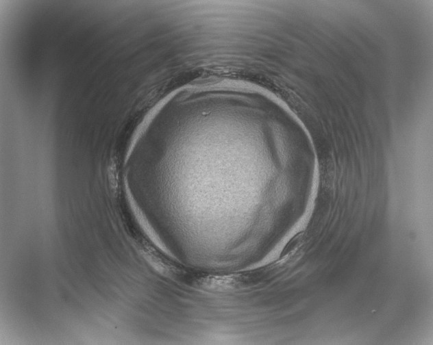 X0000067840086200605041700