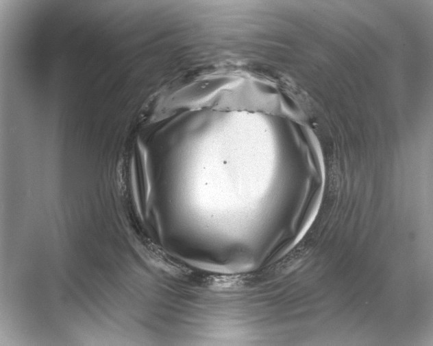 X0000067840088200605041700