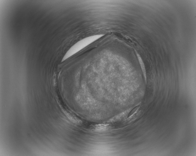 X0000067840090200605041700