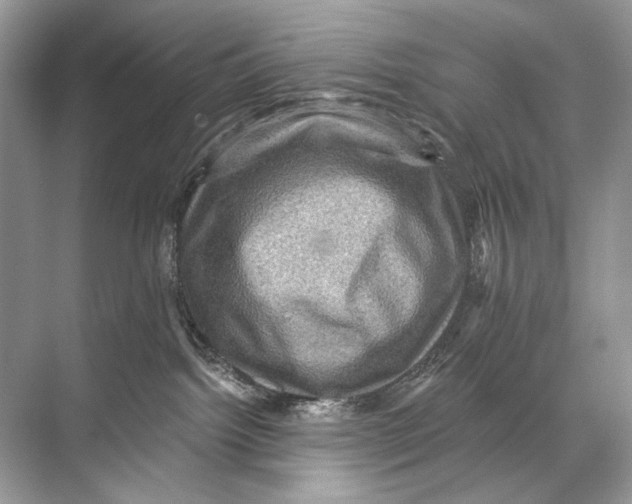 X0000067840092200605041700