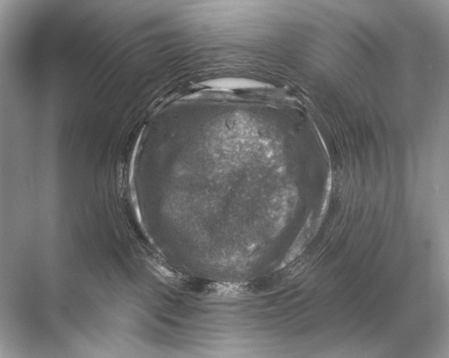 X0000067840093200605041700