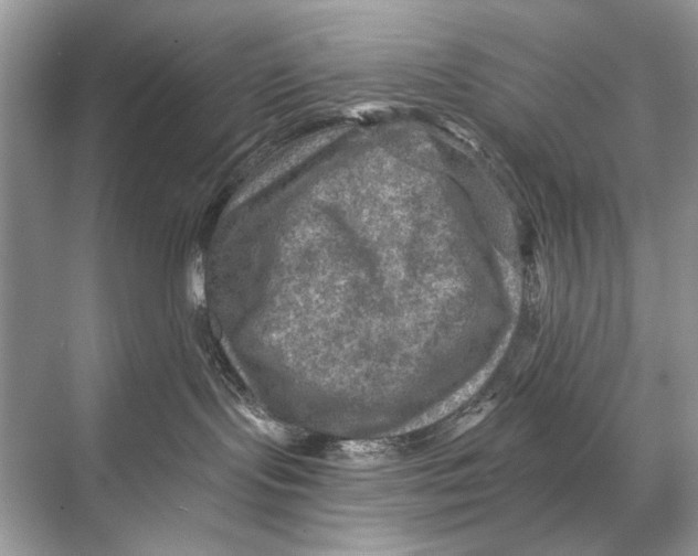 X0000067840095200605041700