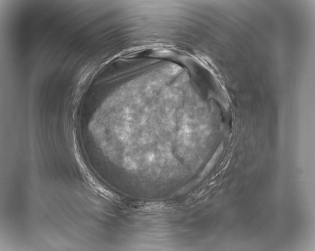 X0000067840097200605041700