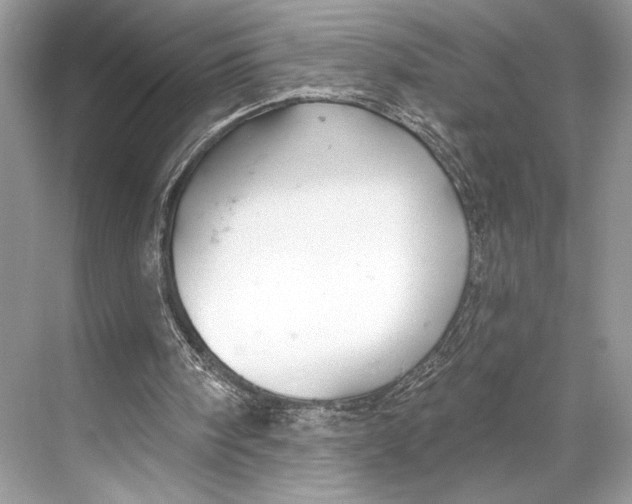 X0000067840098200605041700