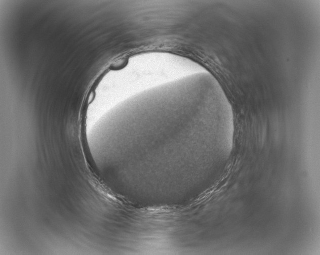 X0000067840100200605041700