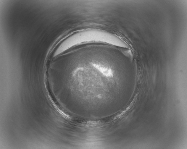 X0000067840101200605041700