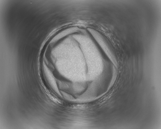 X0000067840102200605041700