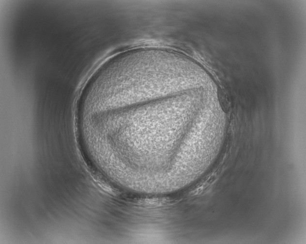 X0000067840103200605041700