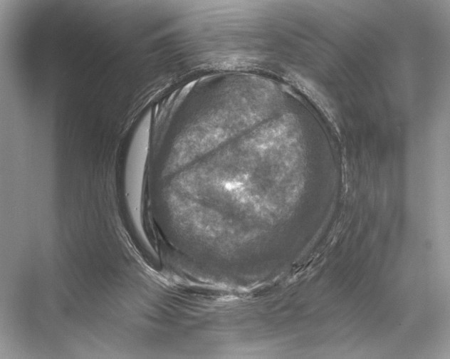 X0000067840105200605041659