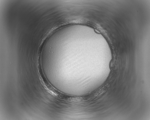 X0000067840106200605041659