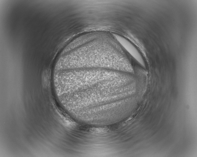 X0000067840107200605041659