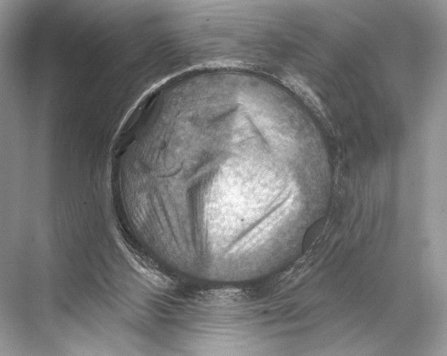 X0000067840108200605041659