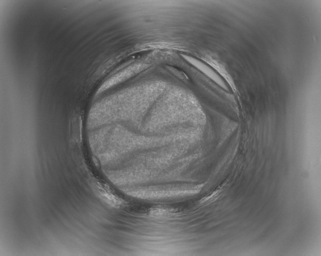 X0000067840109200605041659