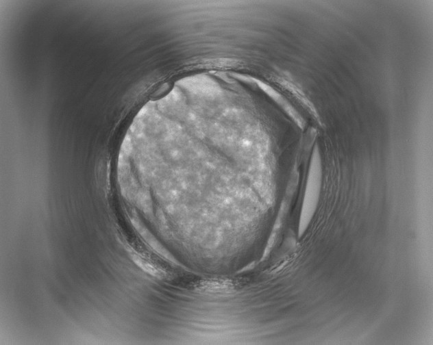 X0000067840110200605041659