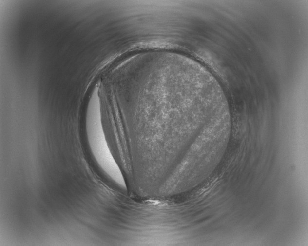 X0000067840111200605041659