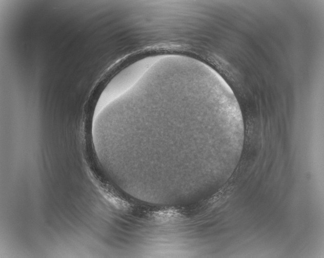 X0000067840112200605041659