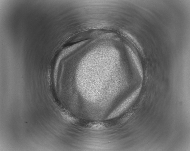 X0000067840113200605041659