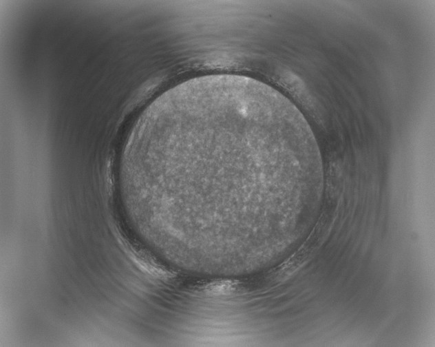 X0000067840116200605041659