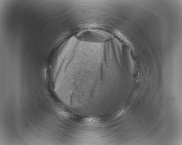 X0000067840117200605041659