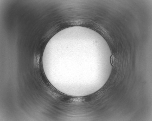 X0000067840118200605041659