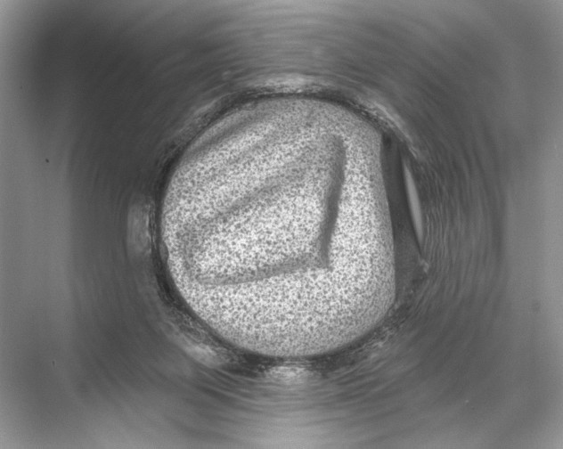 X0000067840119200605041659